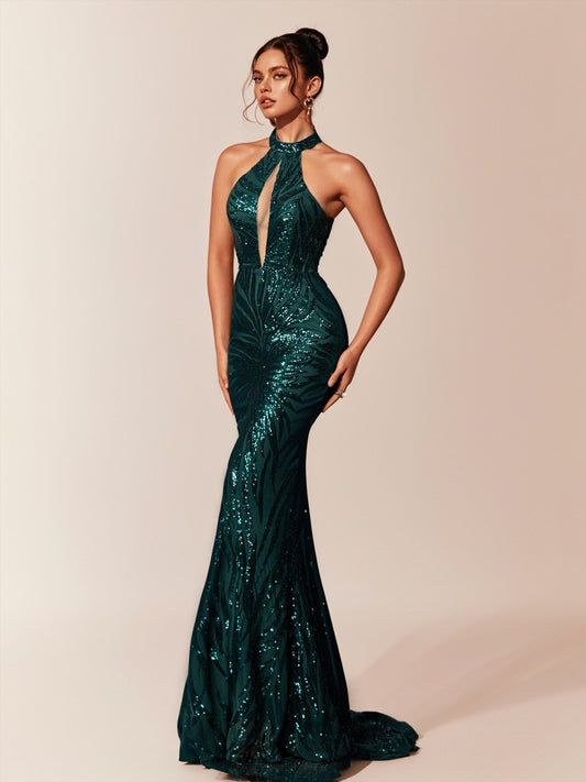 Hollow Design Fishtail Hem Long Fitted Elegant Women Evening Gown-ZS174